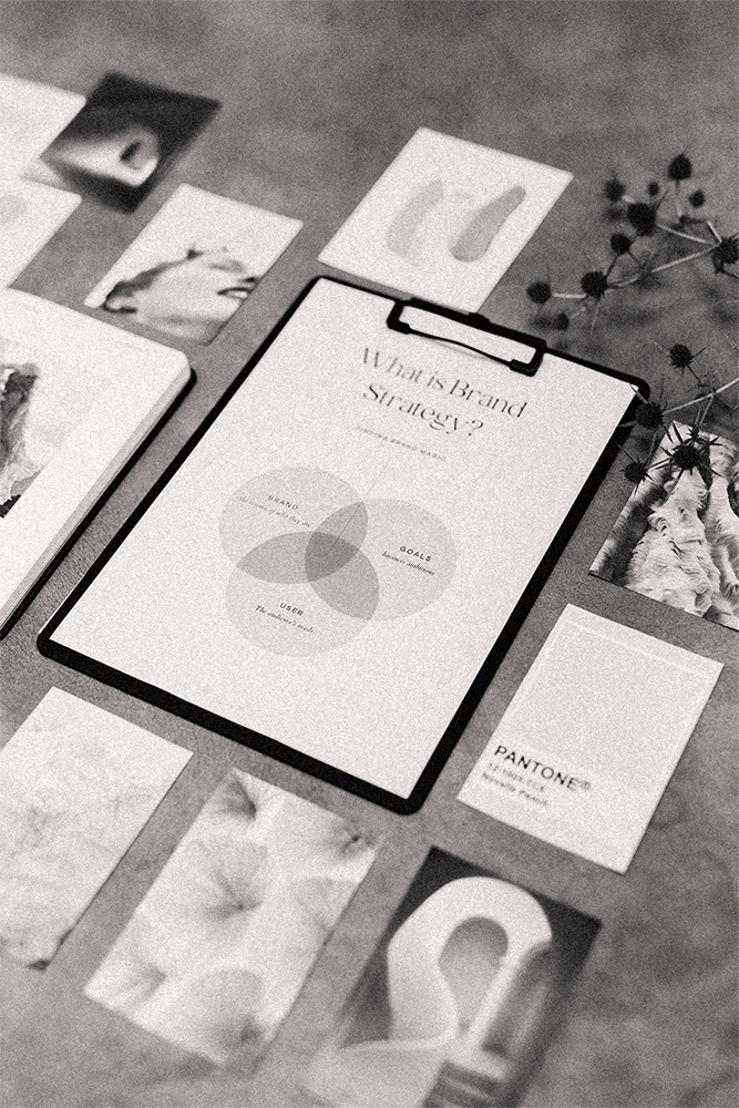 Logo and Branding Design by Two Crows Creative